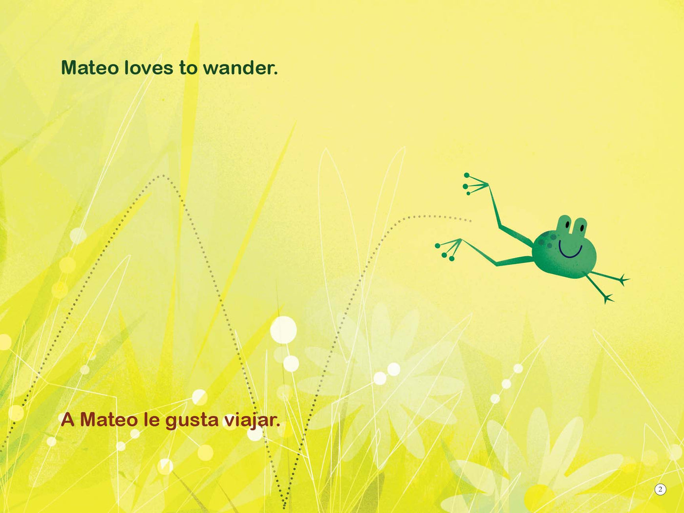 Mateo wanders / Mateo conoce
