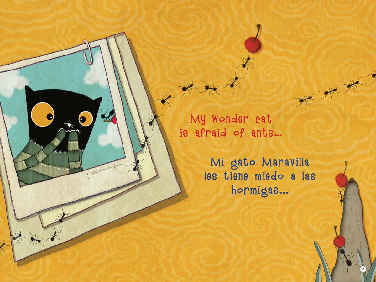 My wonder cat / Mi gato Maravilla