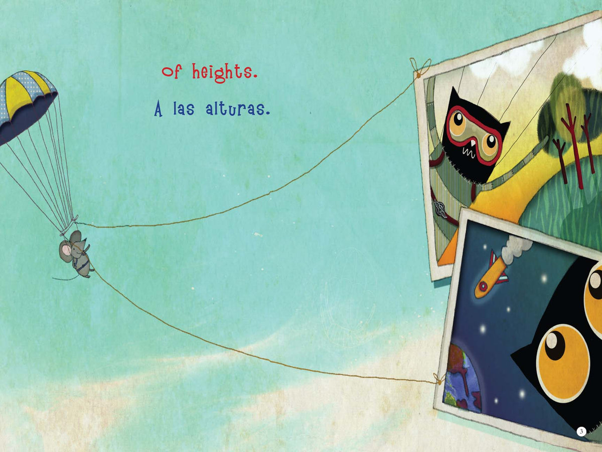 My wonder cat / Mi gato Maravilla