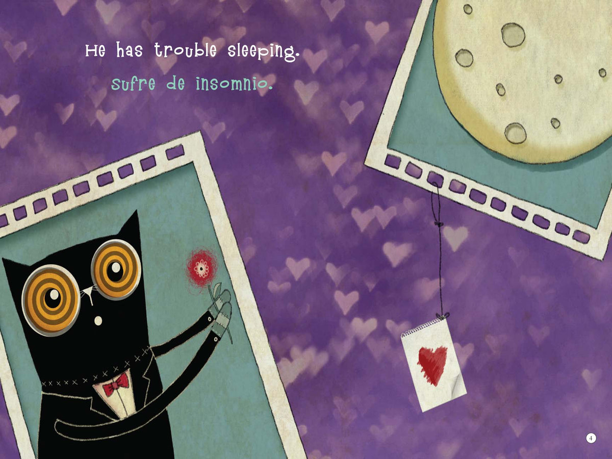 My wonder cat / Mi gato Maravilla