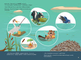 Habitat / Hábitat