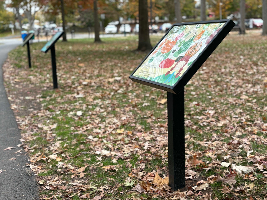 Metal Displays