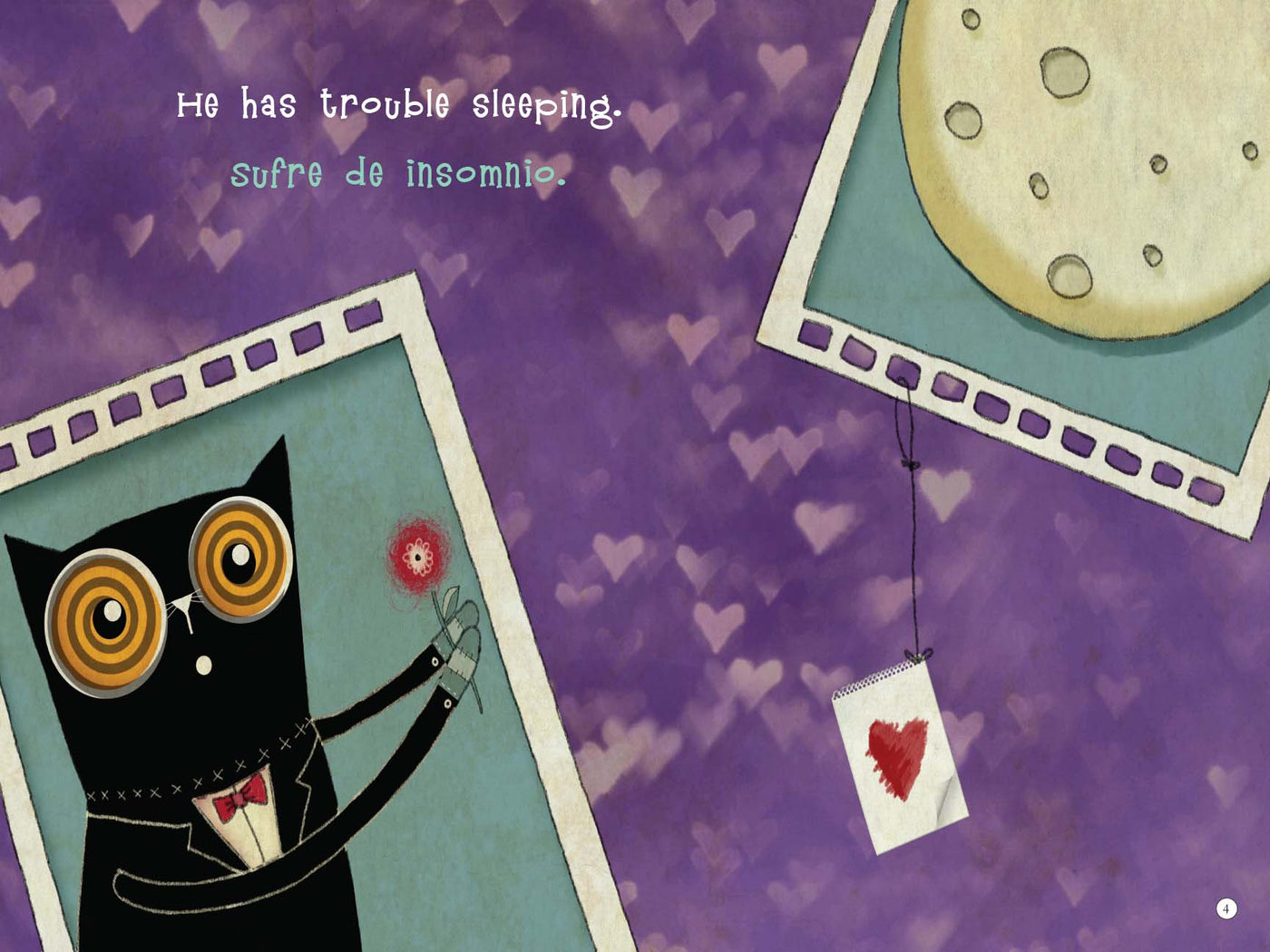 My wonder cat / Mi gato Maravilla