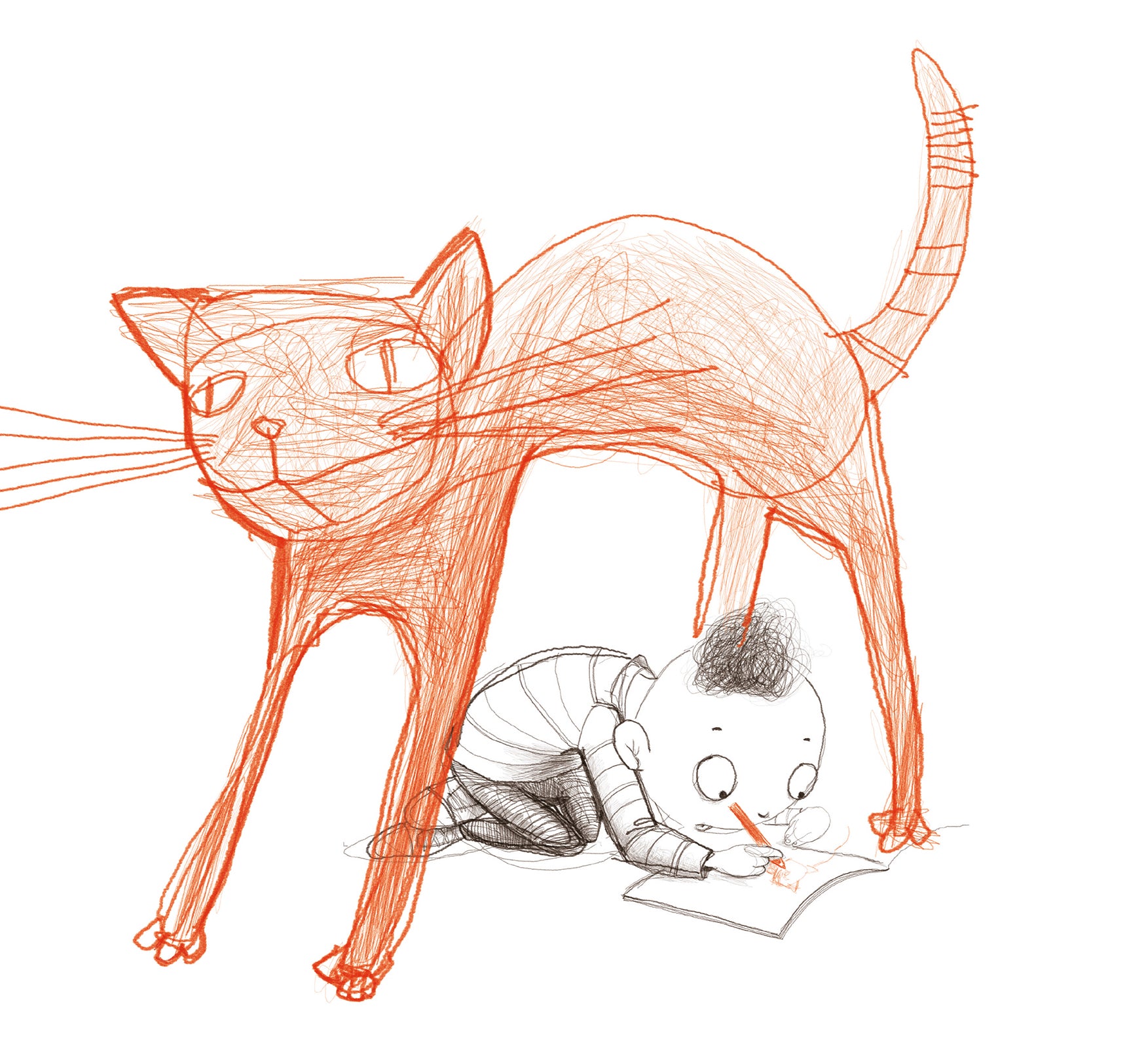 Noah and his red cat