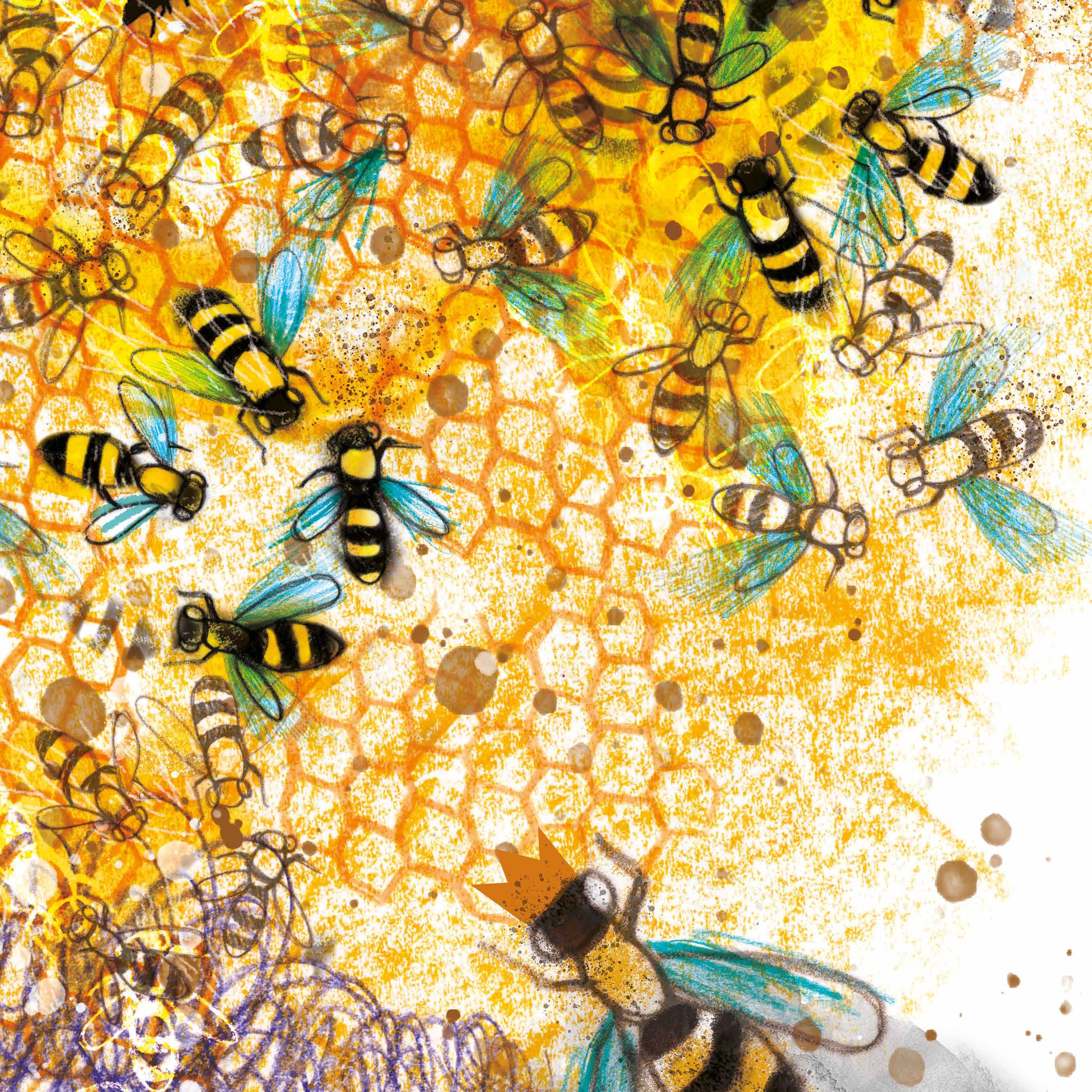 Emma and the bees